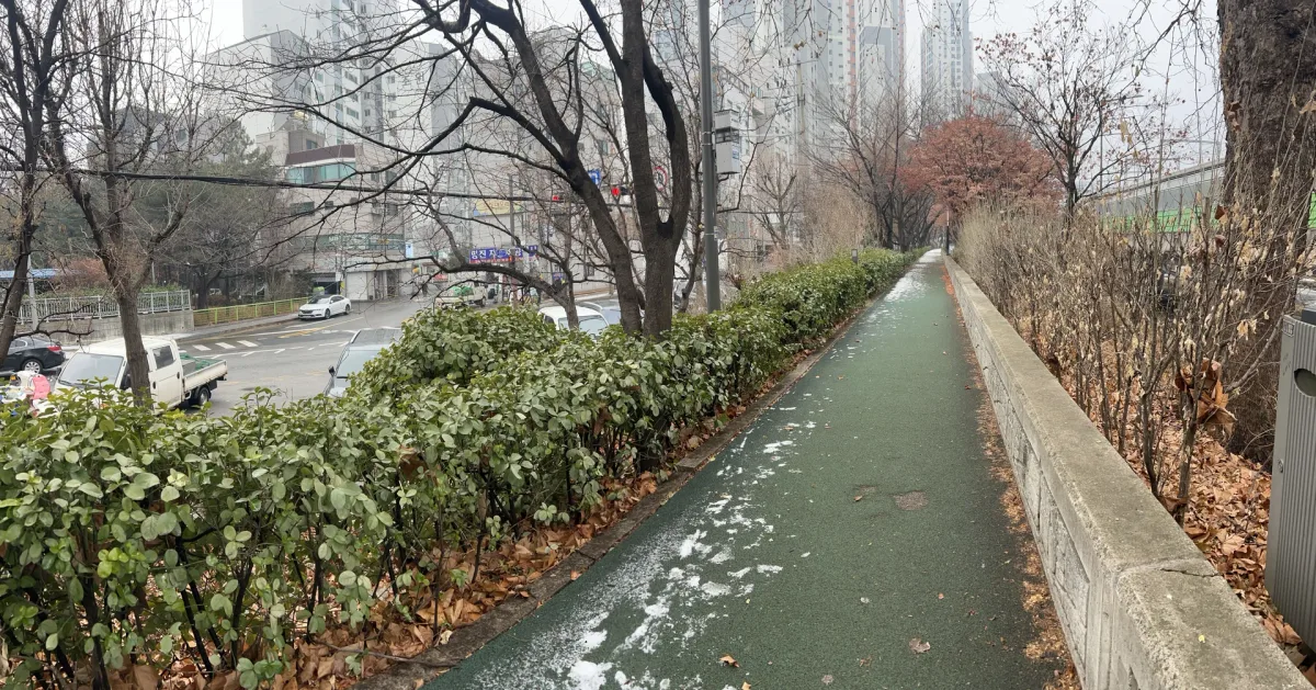 KakaoTalk_20250212_171613674_13.jpg